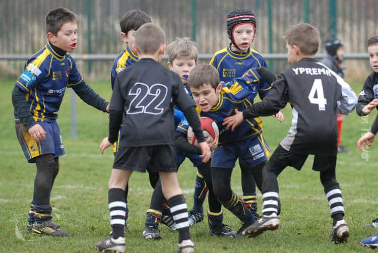 Résultats Ecole de Rugby 23 jan. 2016